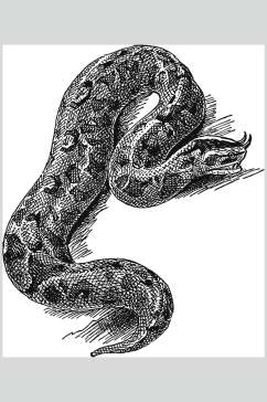 蟒蛇野生动物昆虫手绘素材