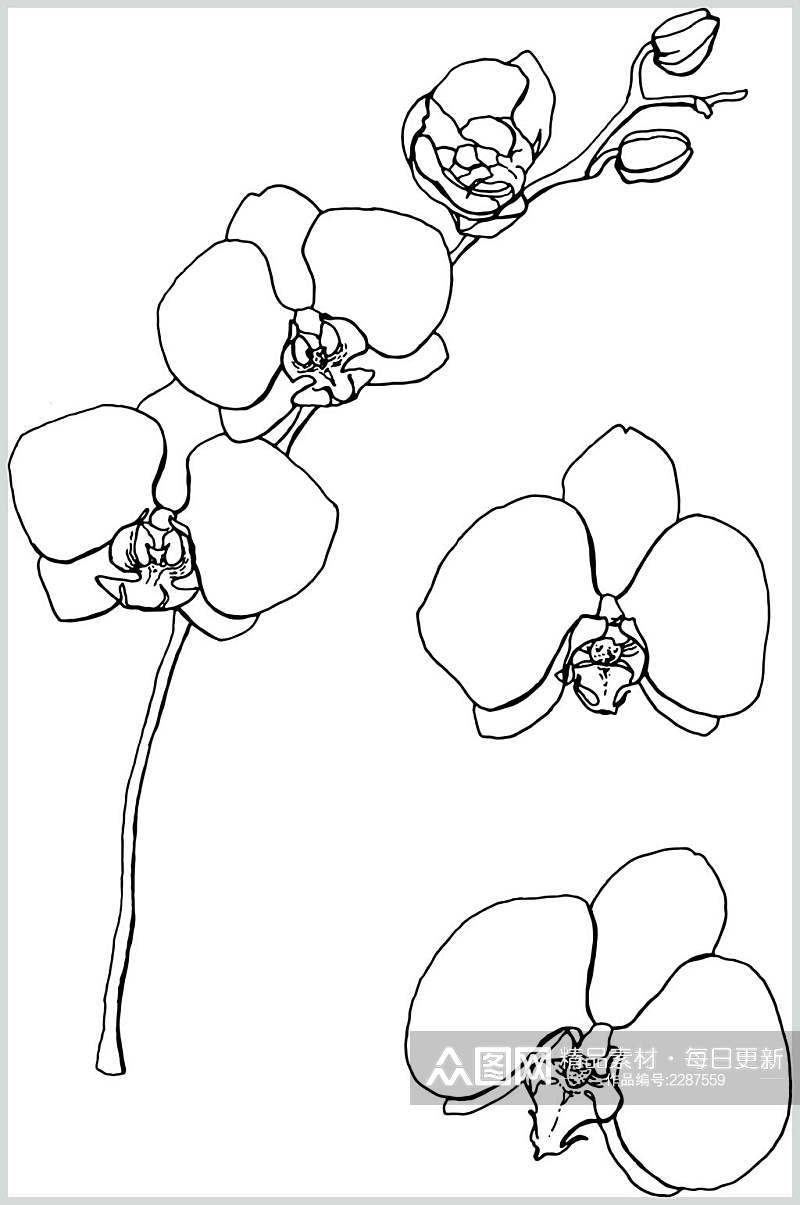简洁线描花卉素材素材