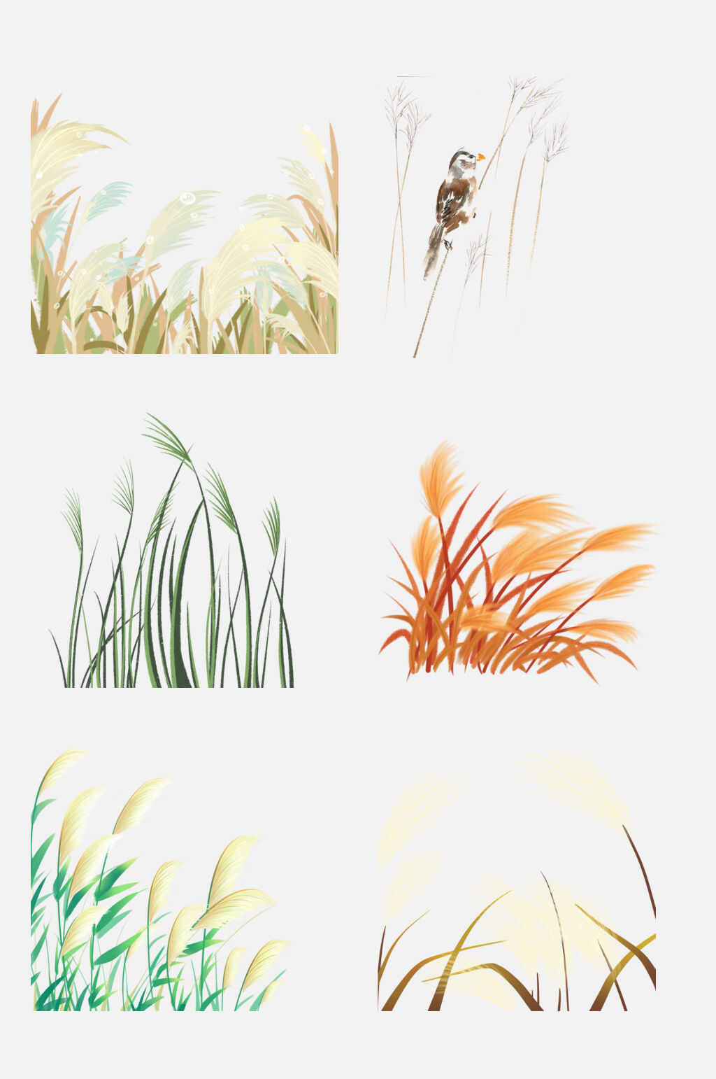 唯美手绘芦苇草免抠素材素材