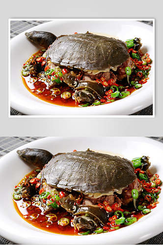 红烧土甲鱼食物图片