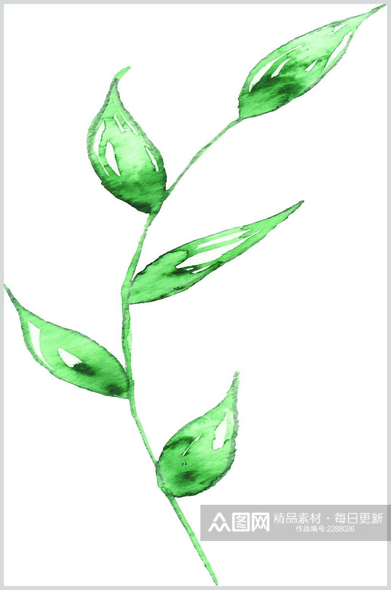 简洁手绘植物绿叶叶子素材素材