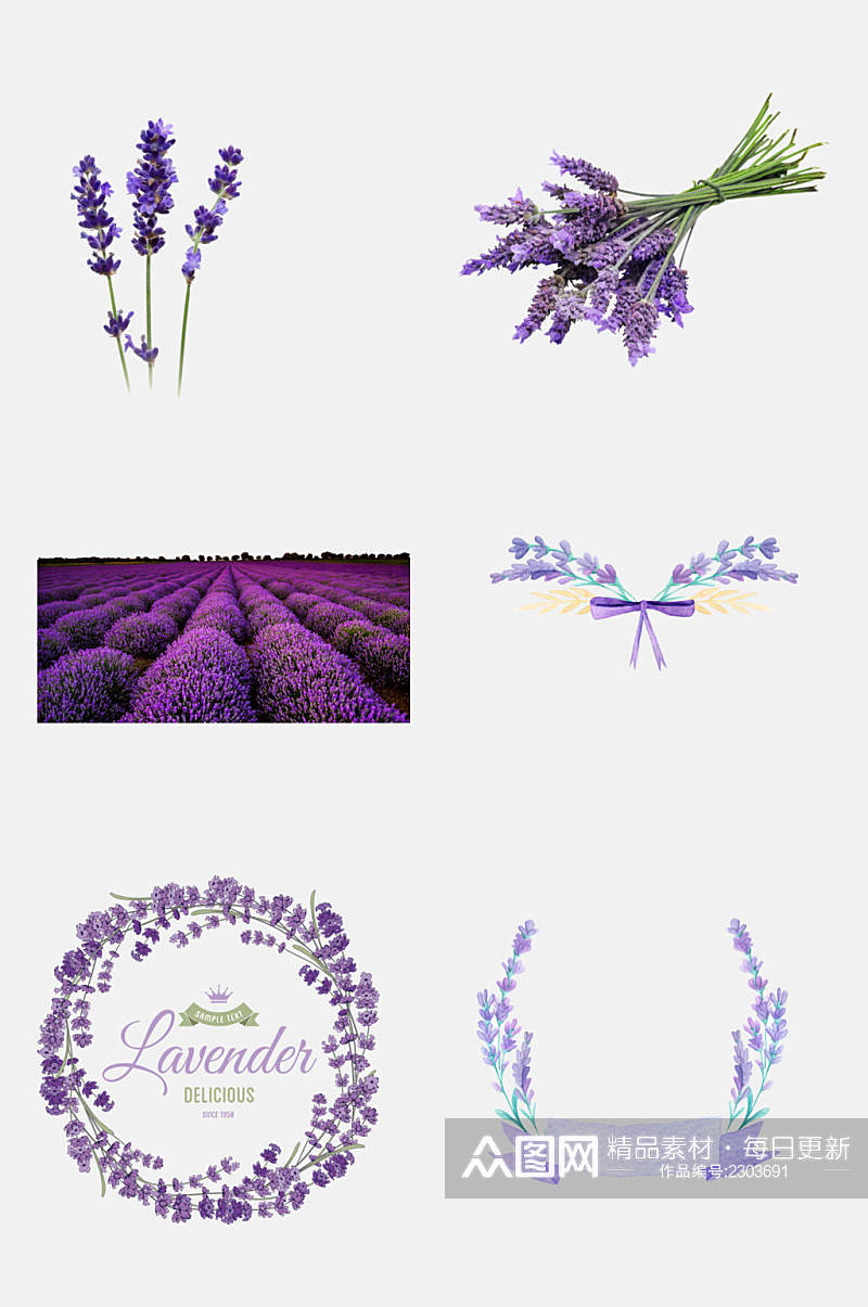 创意紫色薰衣草免抠素材素材
