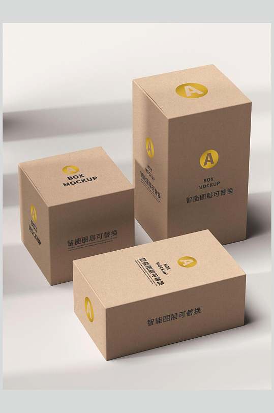 精致高档盒装商务盒子包装样机