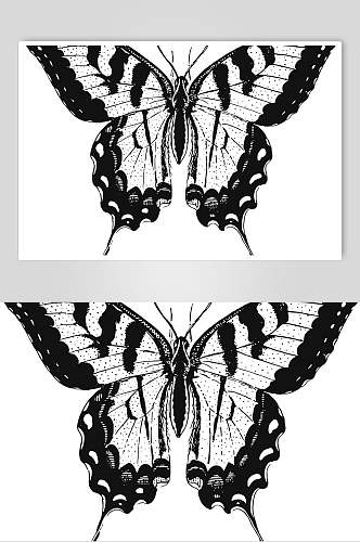 唯美蝴蝶野生动物昆虫手绘素材