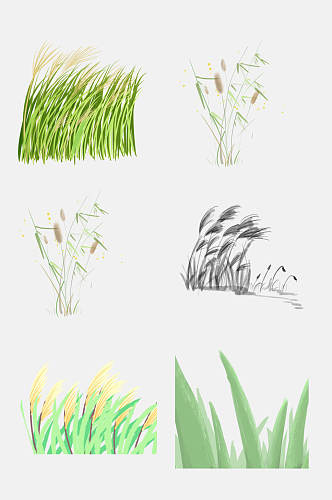 清新手绘植物芦苇草免抠素材