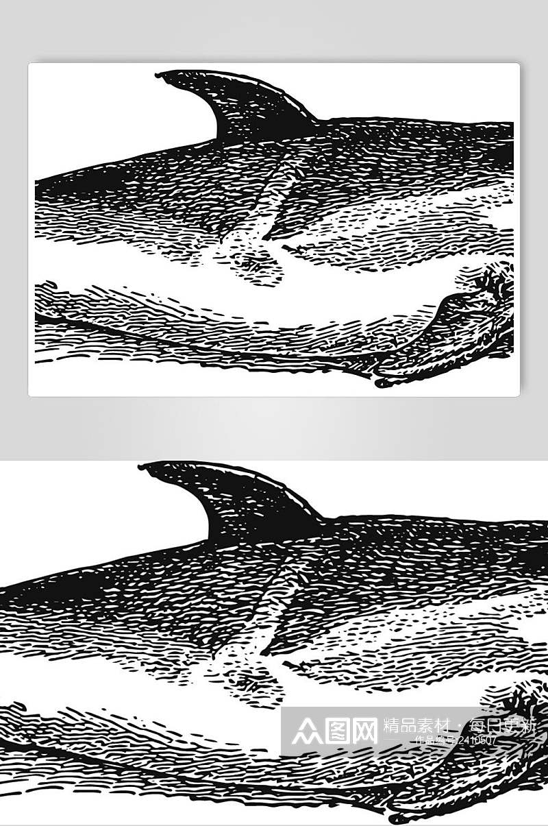 鲸鱼野生动物昆虫手绘素材素材