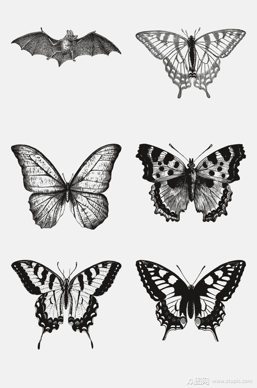 野生动物蝴蝶昆虫手绘免抠元素模板下载-编号2295895-众图网