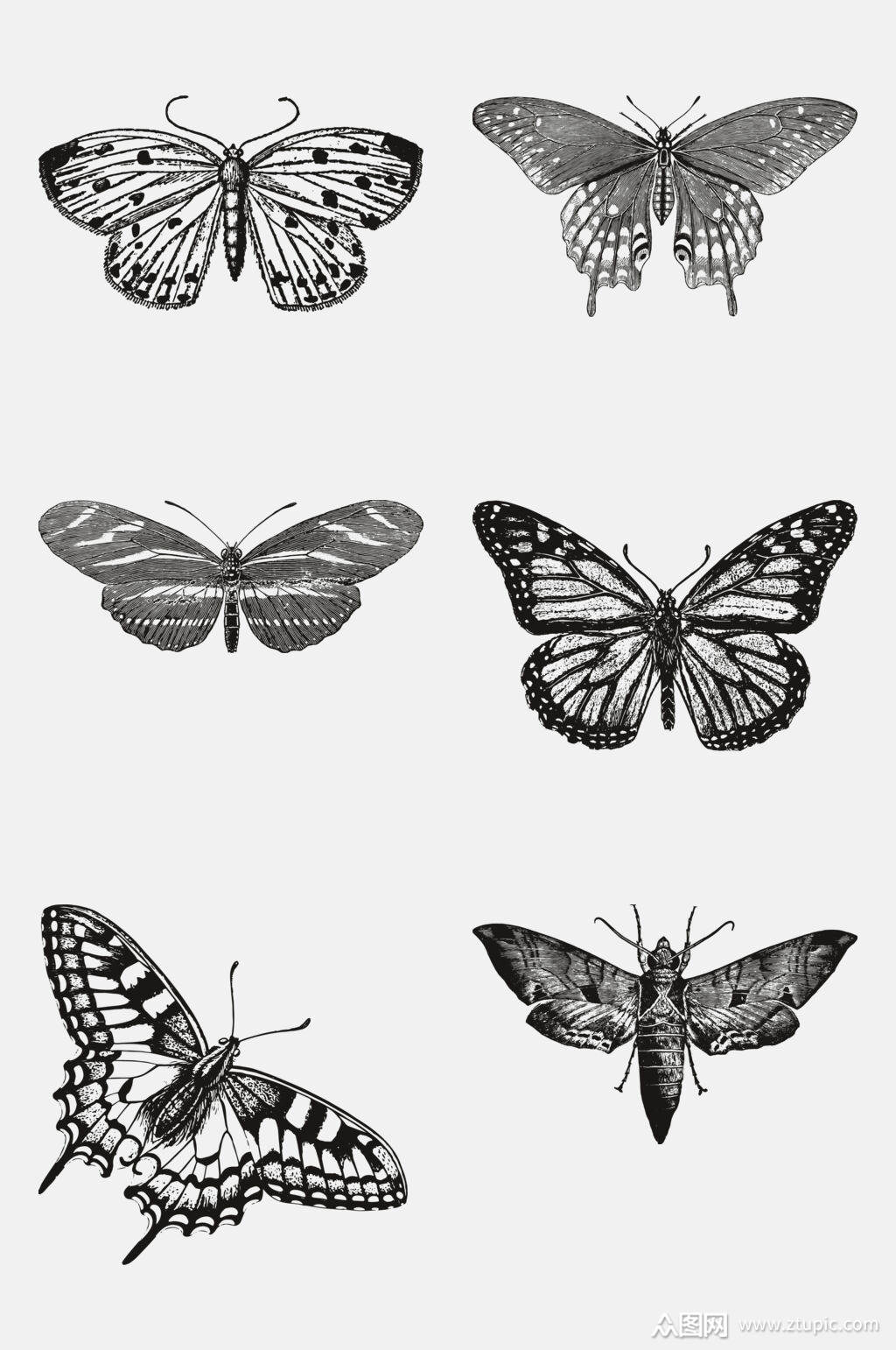 创意时尚野生动物昆虫手绘免抠元素