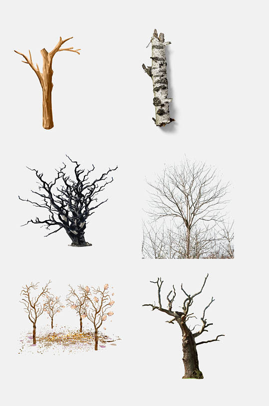 简洁创意树木树枝树干免抠元素