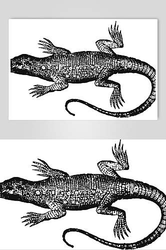 壁虎野生动物昆虫手绘素材