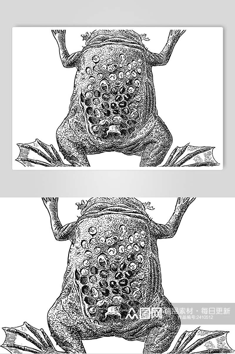 树蛙野生动物昆虫手绘素材素材