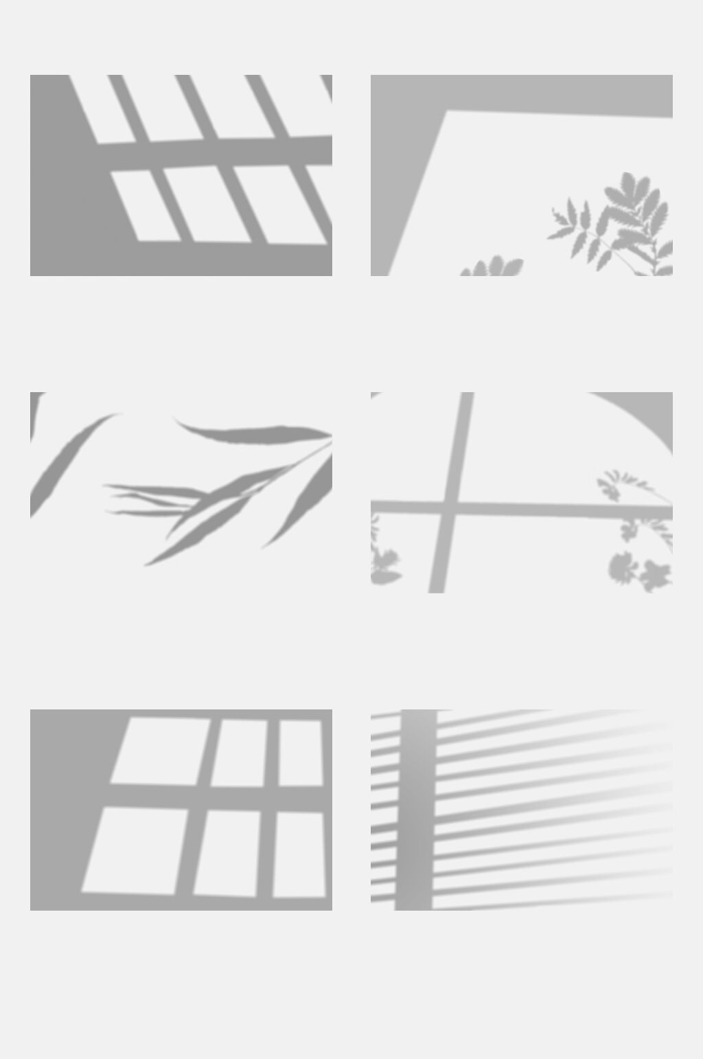 灰色植物光影阴影免抠素材