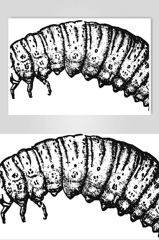 毛毛虫野生动物昆虫手绘素材-众图网
