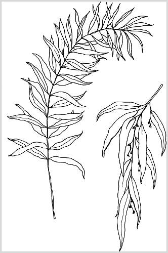 手绘线描树叶花卉素材