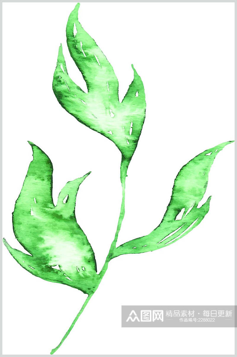 手绘植物叶子素材素材