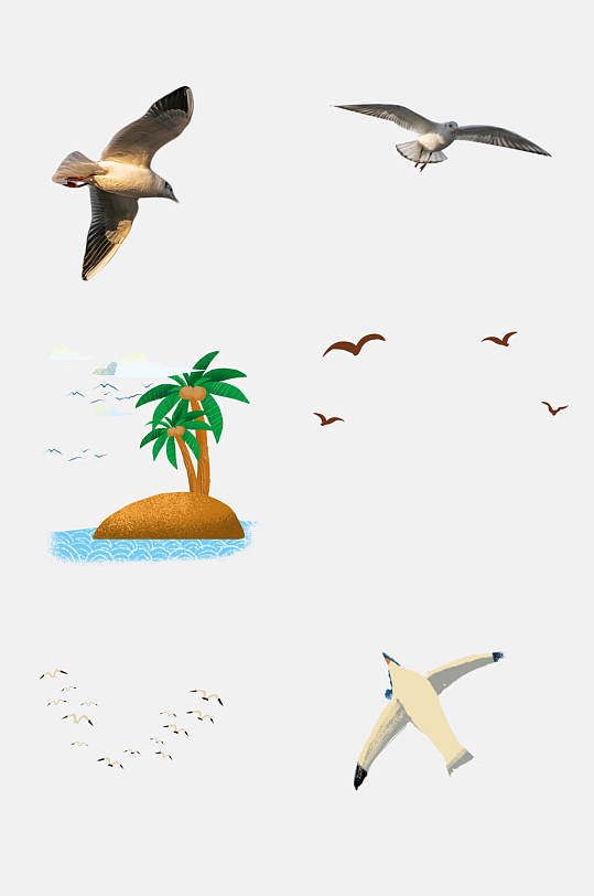 简约椰树海洋海鸥飞翔素材