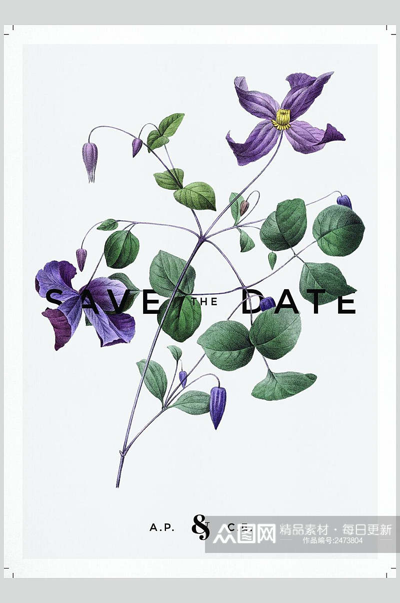 绿色植物典雅紫色花朵素材素材