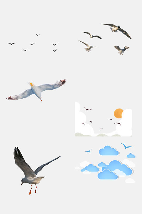 海报海鸥飞翔图片-海报海鸥飞翔素材下载-众图网