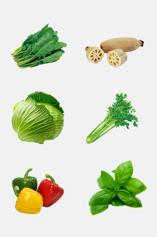 绿色手绘瓜果蔬菜素材