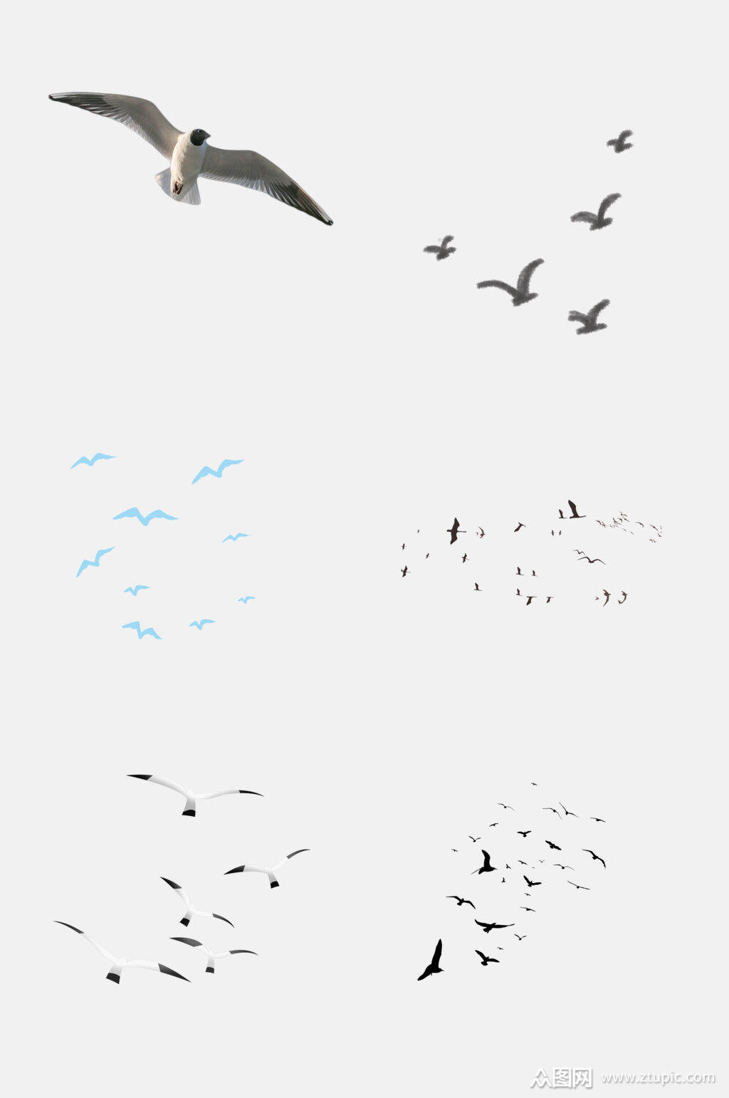 简洁海洋海鸥飞翔素材素材