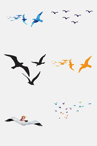 动物海洋海鸥飞翔素材