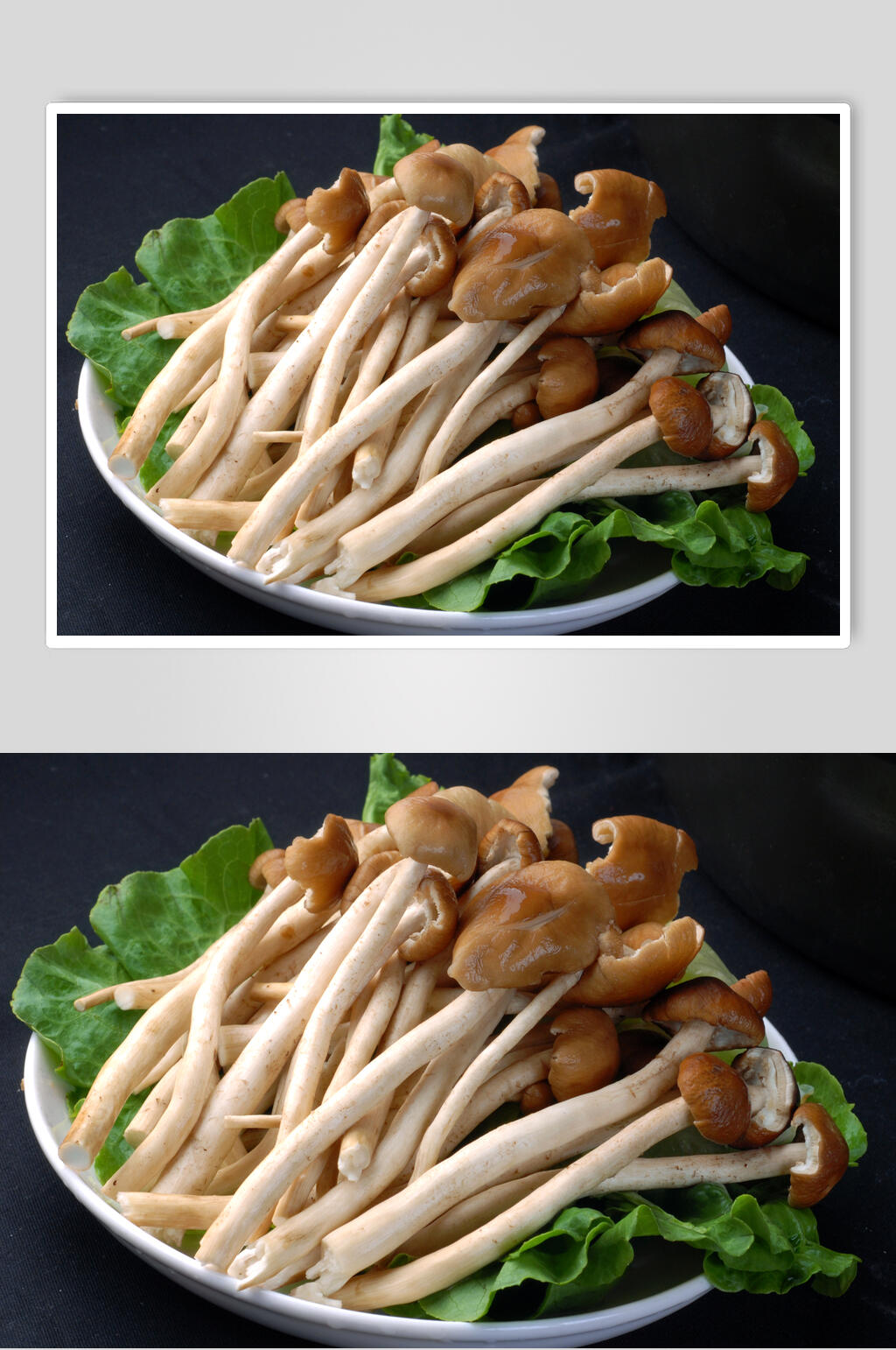 菌茶树菇食品图片素材