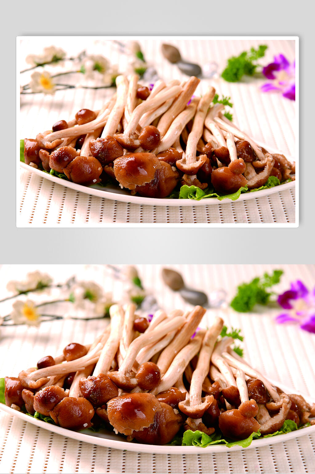精品茶树菇副本食品高清图片素材