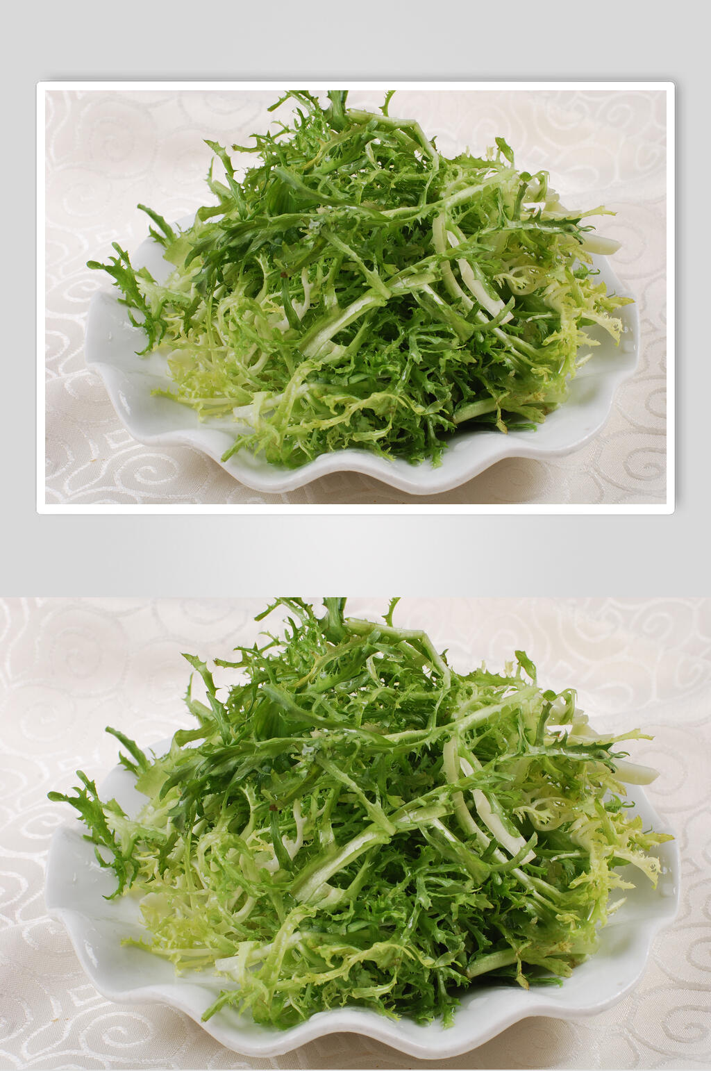 私房苦菊菜图片素材
