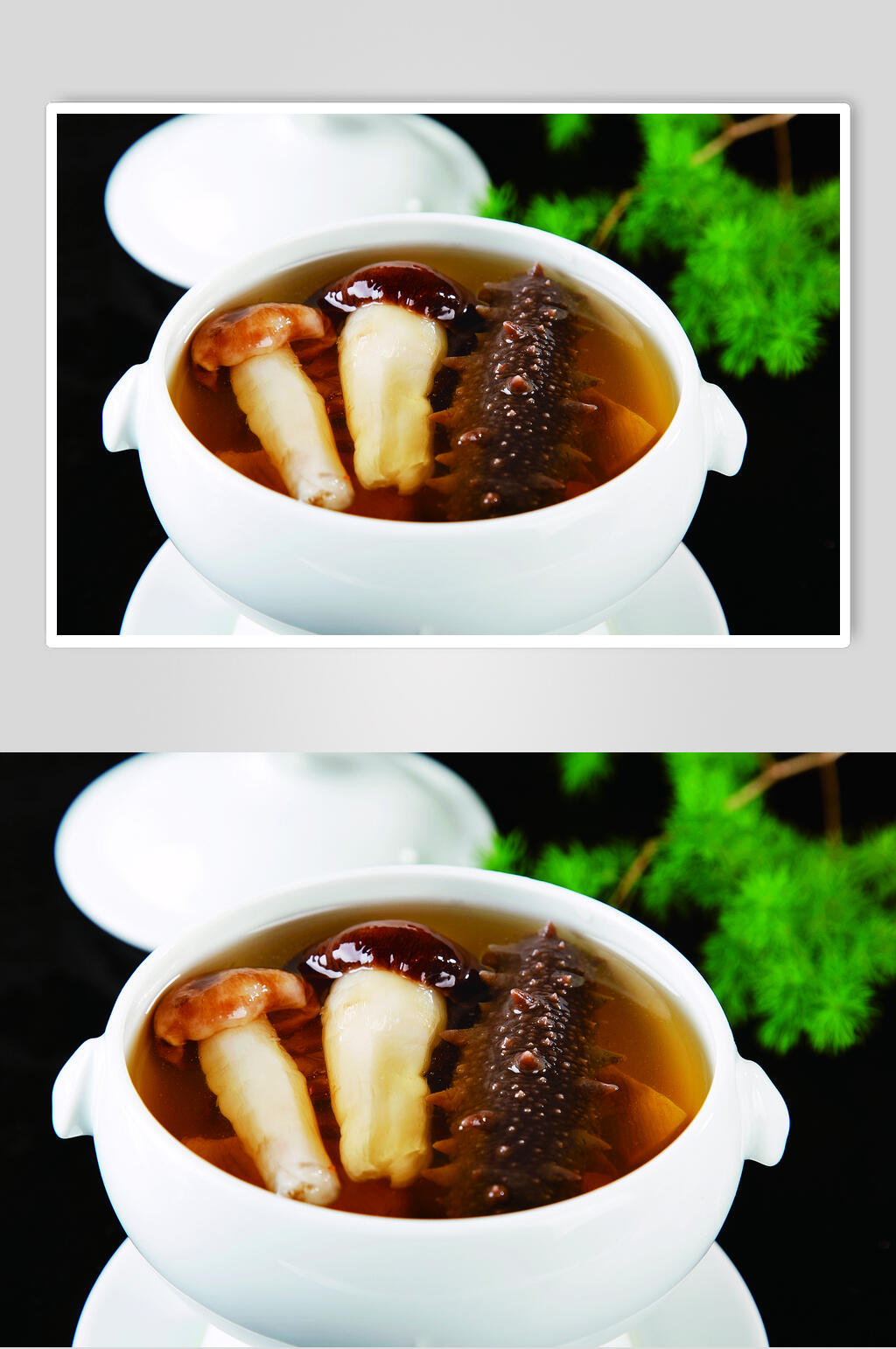 新鲜松茸菌炖辽参食物图片素材