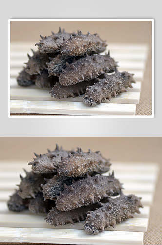 新鲜海参食物高清图片