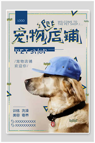 蓝色宠物猫狗海报