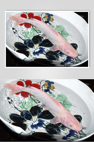 河鲜红沙鱼图片
