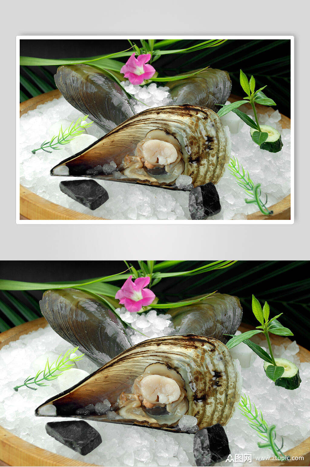 新鲜美味带子图片