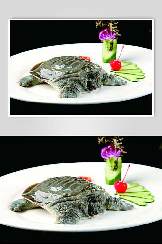 甲鱼食物摄影图片