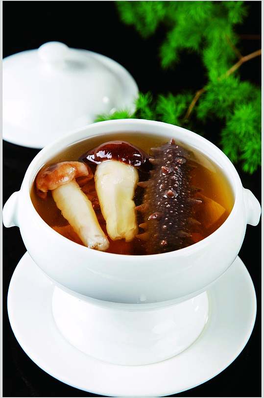 松茸炖辽参食物图片立即下载新鲜松茸菌炖辽参食物图片立即下载美味