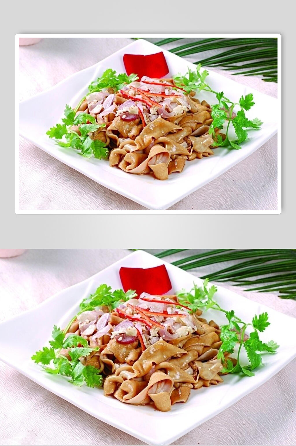 姜葱生肠图片素材
