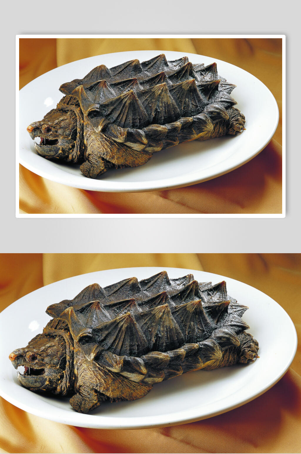 阿胖山美食鳄龟图片