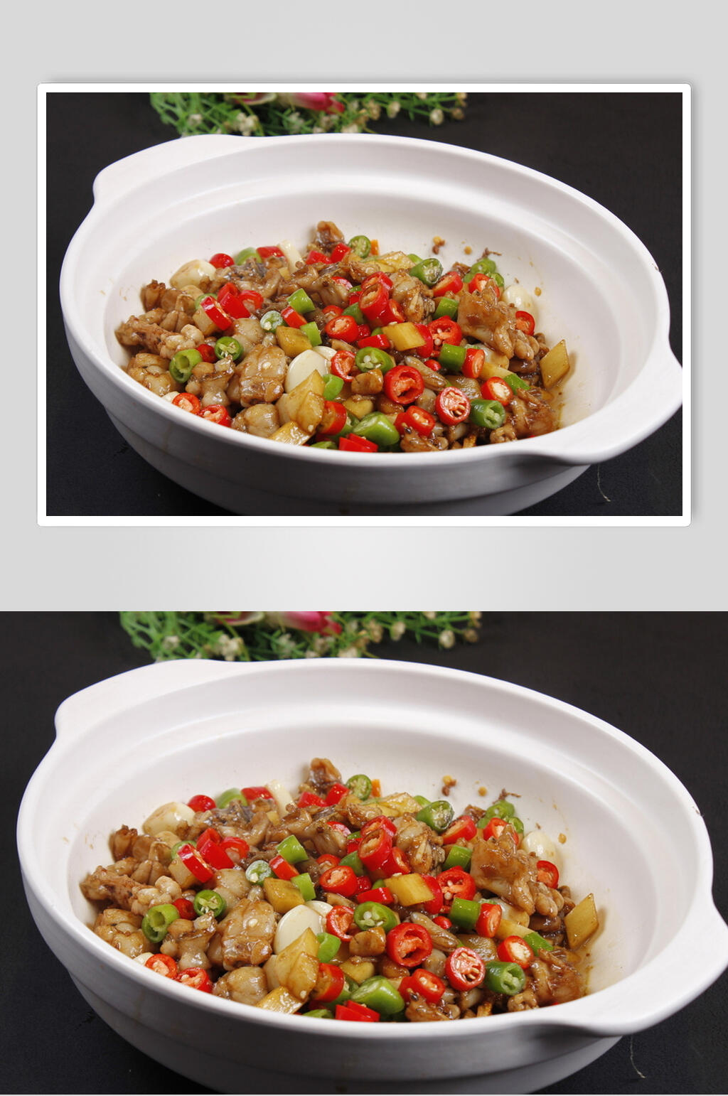 大盆子姜蛙食物高清图片素材