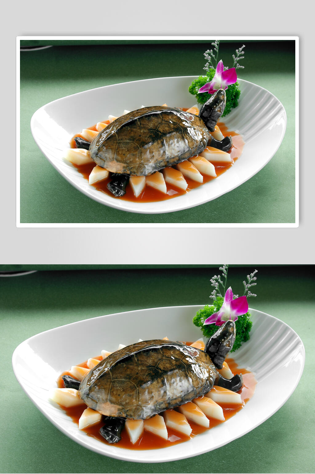 洞庭野生龟食物摄影图片素材