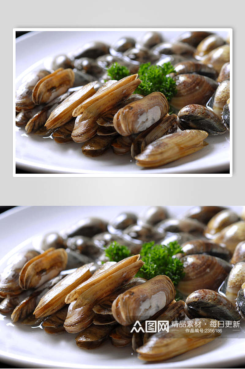 新鲜圣子文蛤拼食物高清图片素材