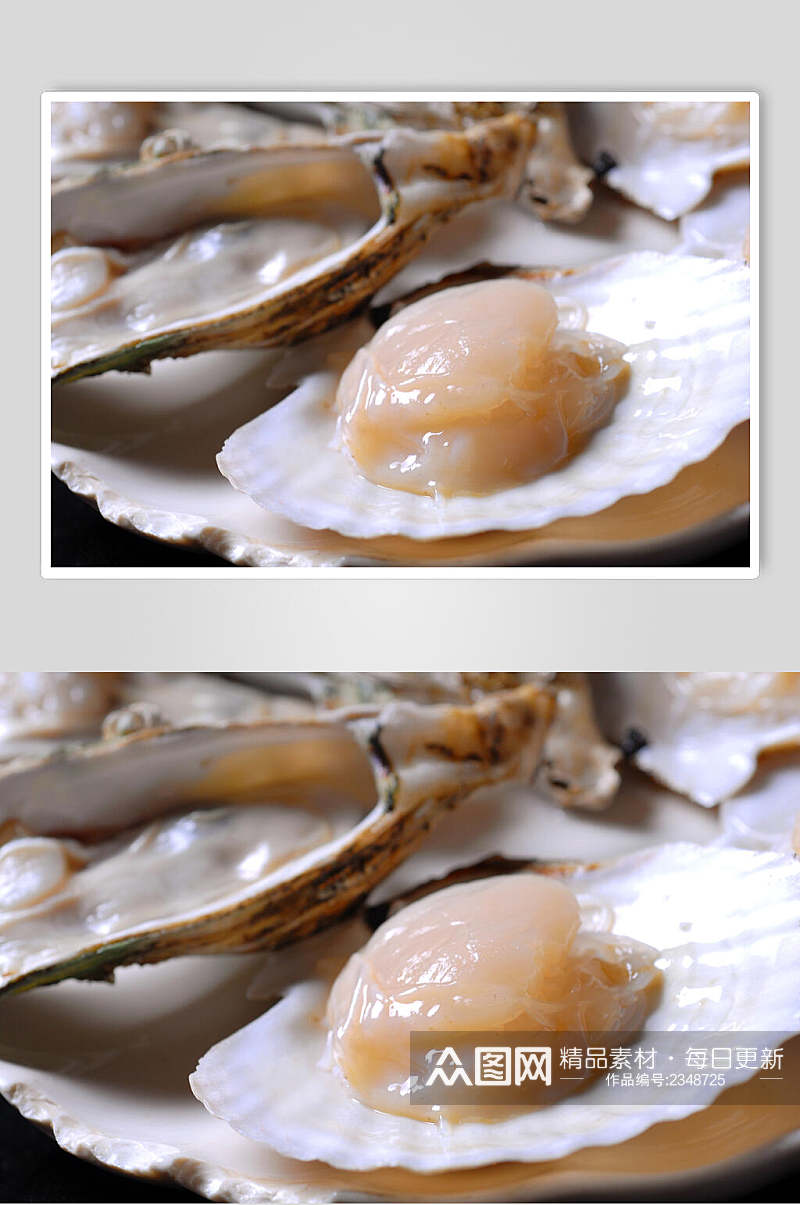 新鲜美味海鲜扇贝生蚝图片素材