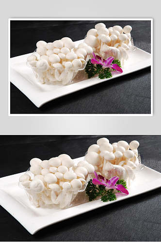 新鲜美味白玉菇食品图片