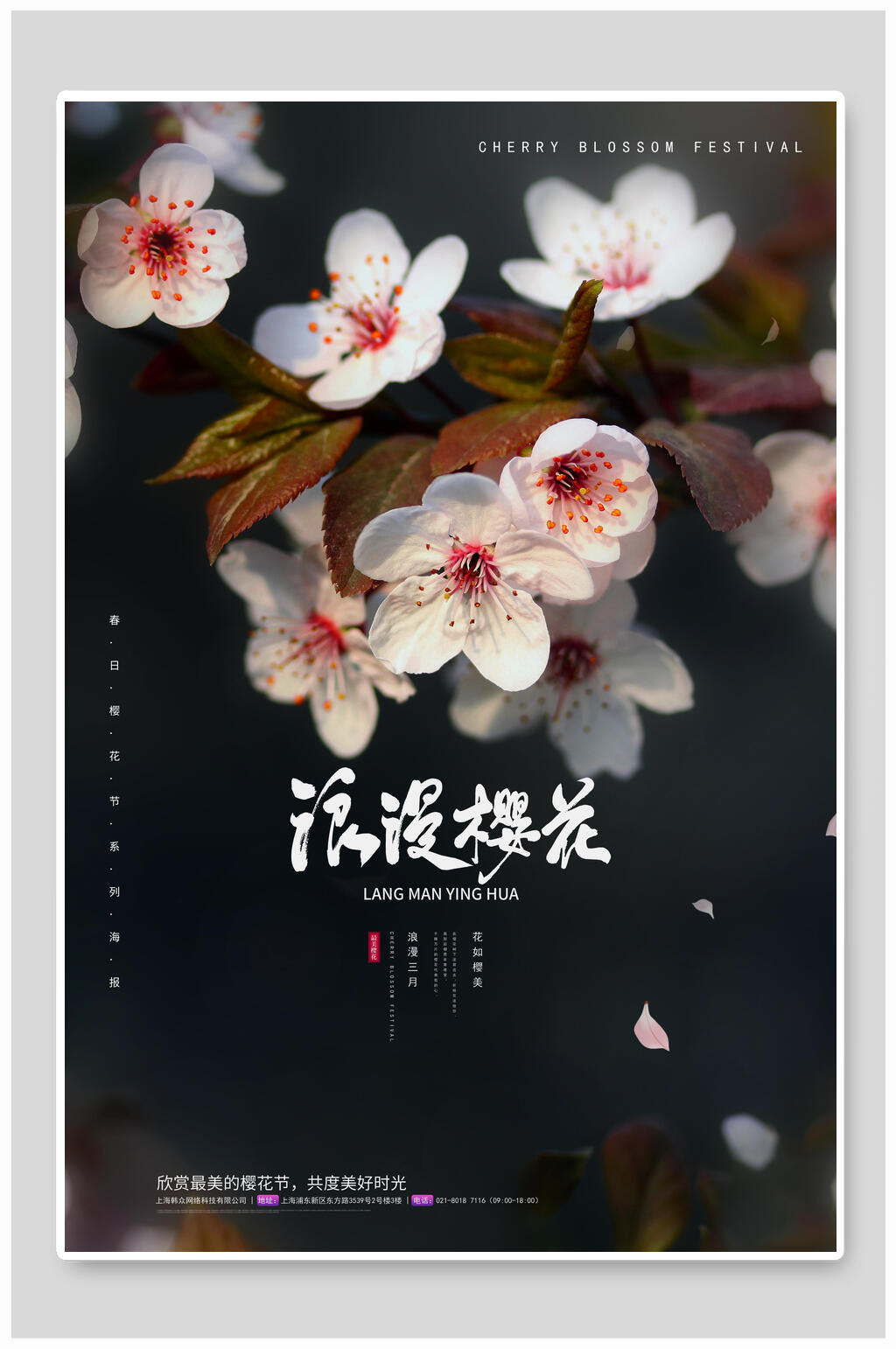 高端浪漫樱花海报素材