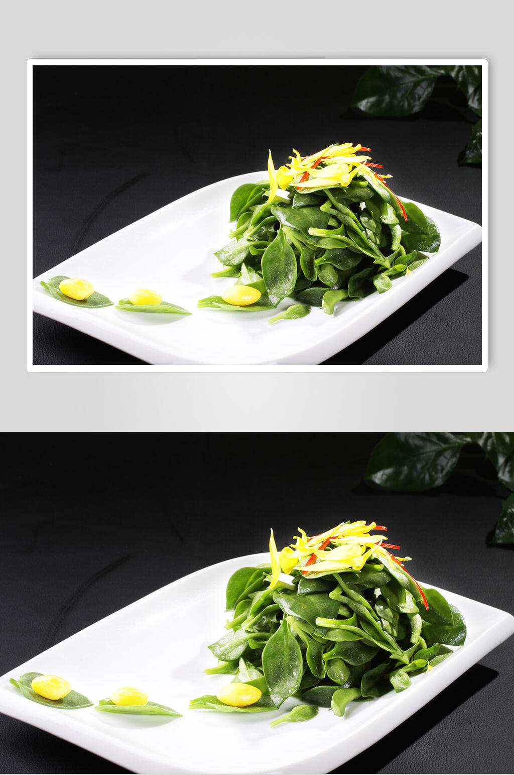 金菊田七苗食物图片素材