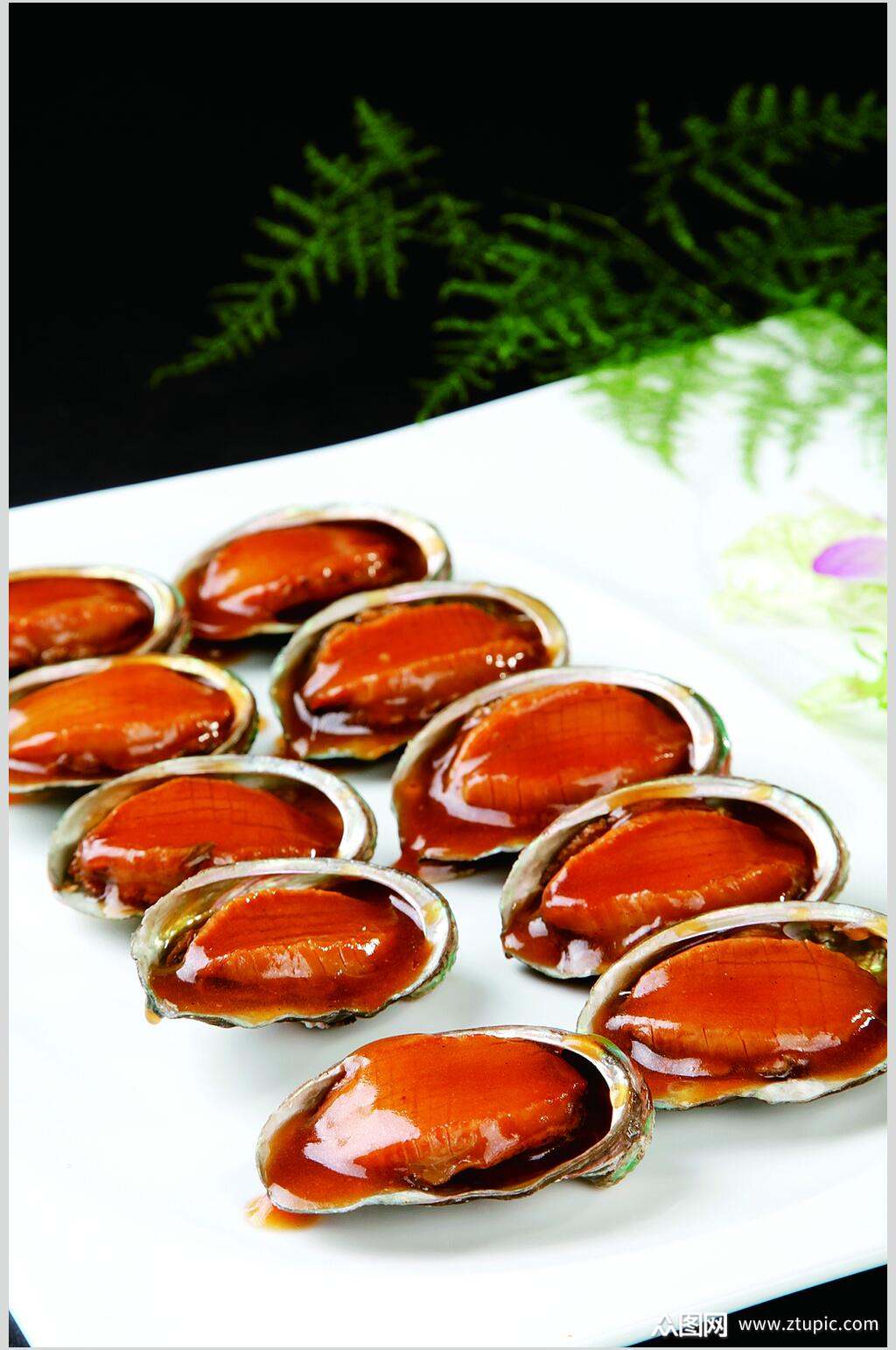 健康美味美极鲍鱼仔图片素材