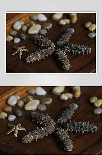 新鲜海参食物图片