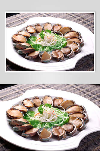生猛海鲜野生鲍鱼仔餐饮高清图片