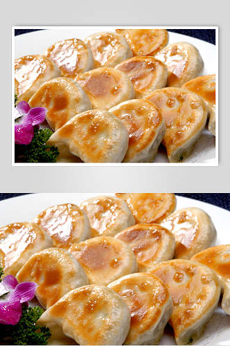 锅贴饺子食物高清图片