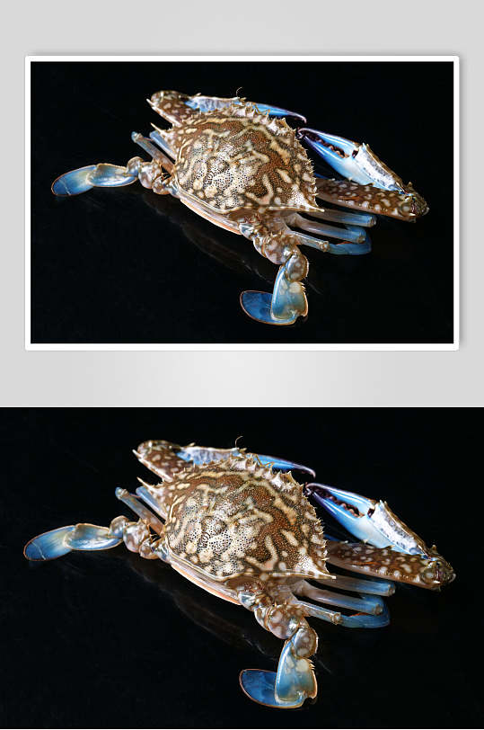 生猛海鲜兰花蟹餐饮高清图片