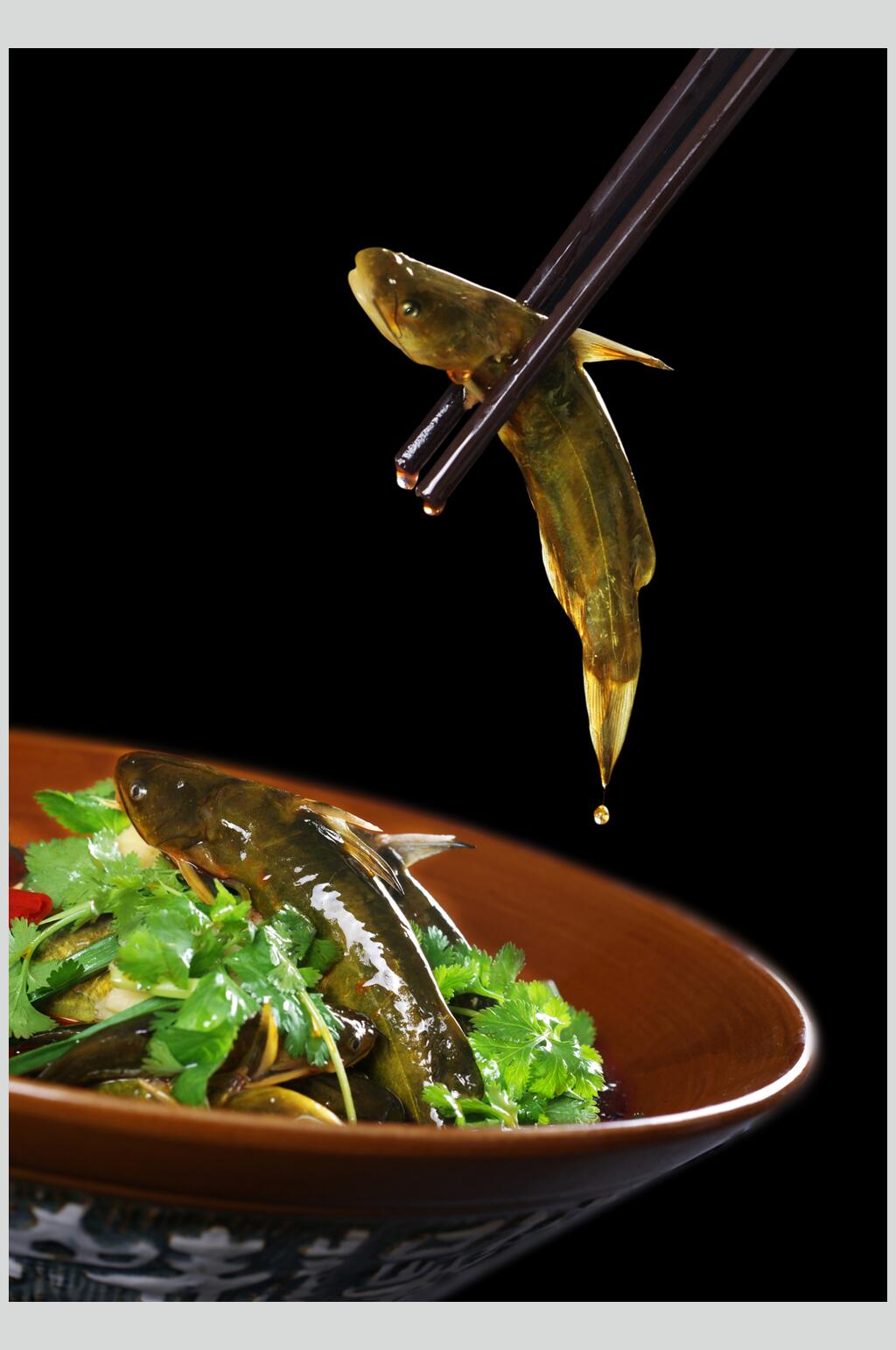黄辣丁三角蜂图片素材